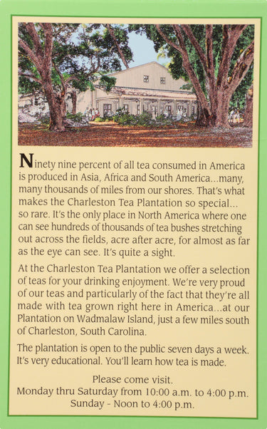 American Classic Pyramid Teabags, Island Green Mint, 12 Count, 0.84 Oz